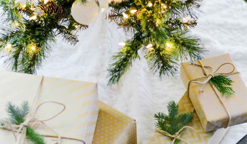 Holiday Gift Guide