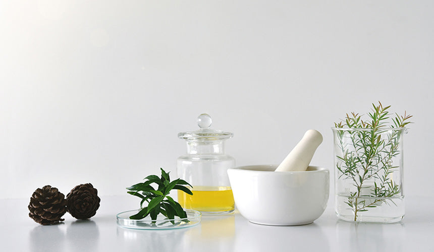 Natural Skin Care Ingredients