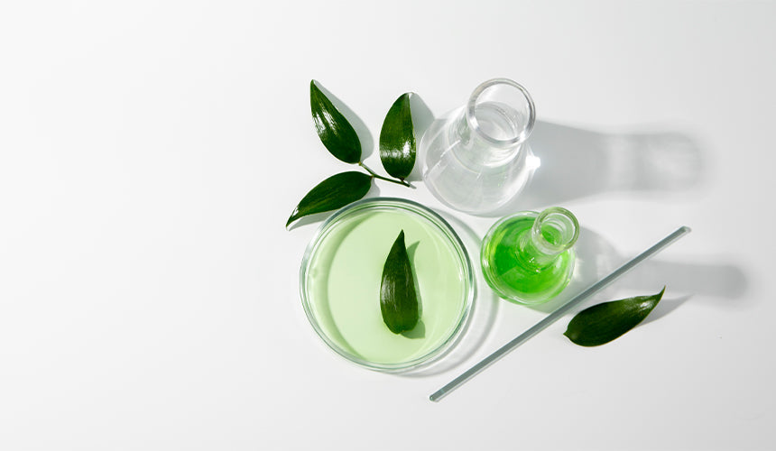 Best Natural Skin Care Ingredients and What They Do Part 3