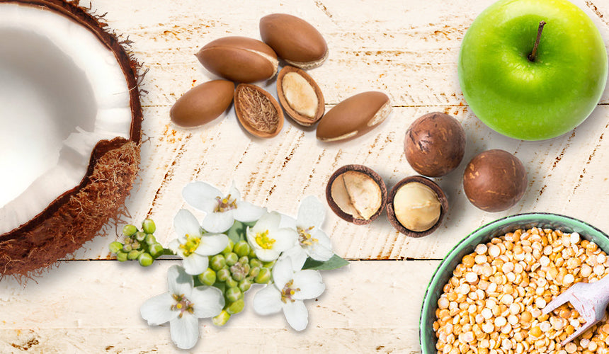 Natural Ingredients for Common Hair Problems