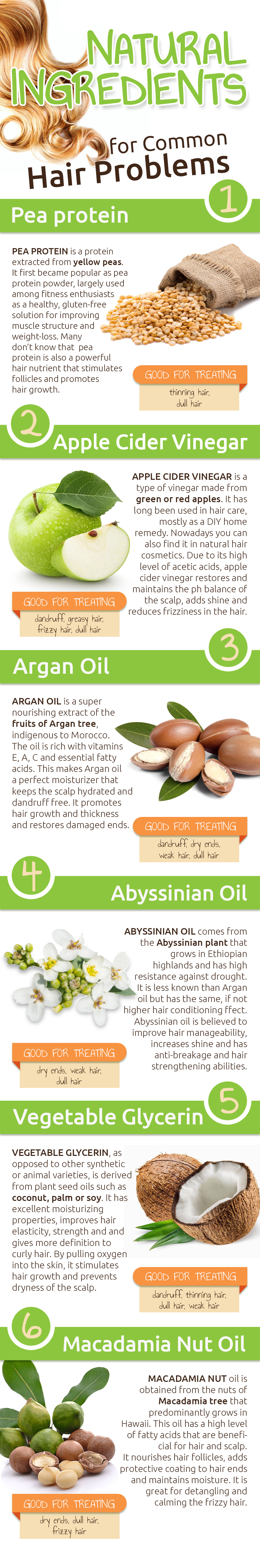 Natural Ingredients for Common Hair Problems infographic
